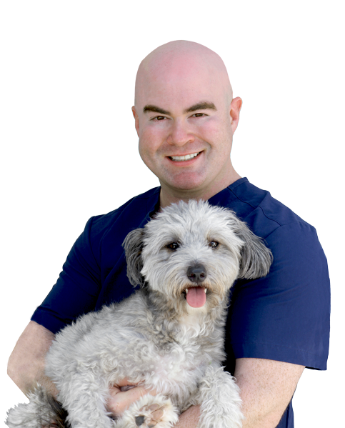 Dr. Maximilian Padilla in navy blue scrubs with his dog, Jessie. He is in his mid thirties, has a bright smile, kind eyes, and he is bald. The dog has lots of hair.